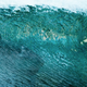 Illustration for article titled Really Late Reviews: The Shallows